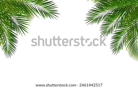 Palm Tree Branch Isolated White Background isolated White Background With Gradient Mesh, Vector Illustration