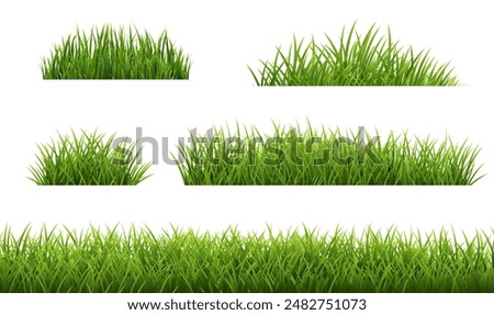 Green Grass Borders Set Isolated White Background With Gradient Mesh, Vector Illustratio