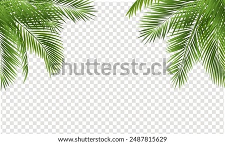 Palm Tree Branch Border With Transparent Background With Gradient Mesh, Vector Illustration