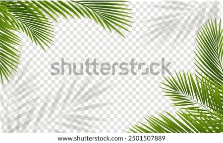 Similar – Image, Stock Photo palm palms Palm frond