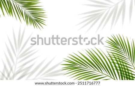 Similar – Image, Stock Photo palm palms Palm frond