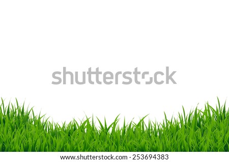 Green Grass Border, Vector Illustration