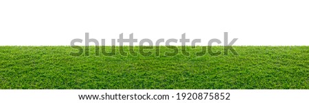 green grass field isolated on white background 商業照片 © 
