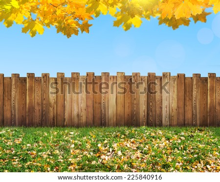 garden backyard at autumn