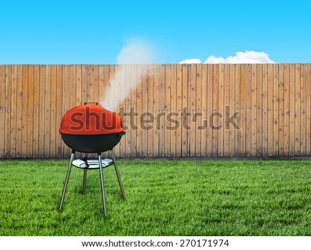 barbecue picnic on backyard