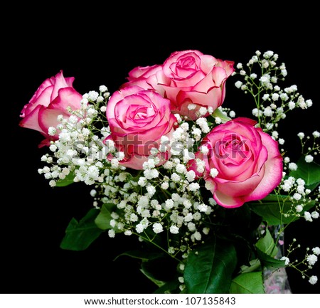 bouquet of pink roses isolated on black background