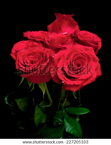 beautiful bouquet of red roses on a black background. Vertical photo.