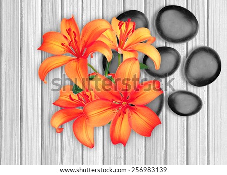 Black spa stones and red lily on white wooden background