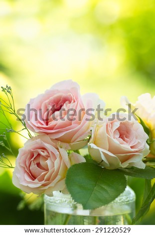 Pink roses bouquet with free space for text. Beautiful pink rose in a garden