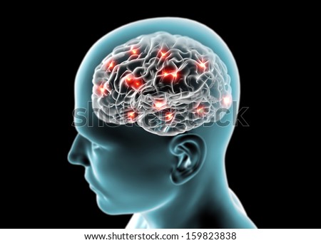 Brain neurons, synapses, reasoning
