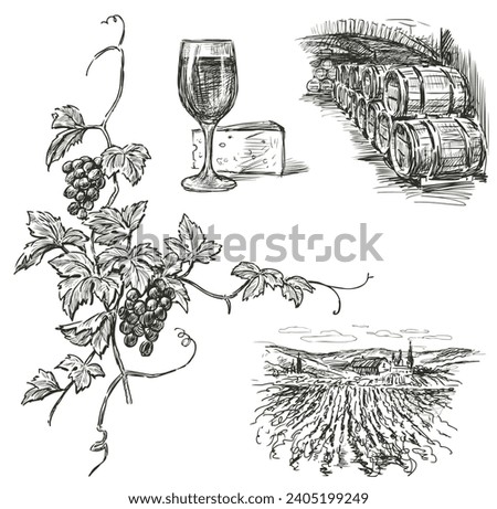 Hand drawn illustration of vineyard landscape ,wine glass, cheese piece, storage of wine barrels in cellar,vine branch with ripe grape bunches, leaves and tendrils