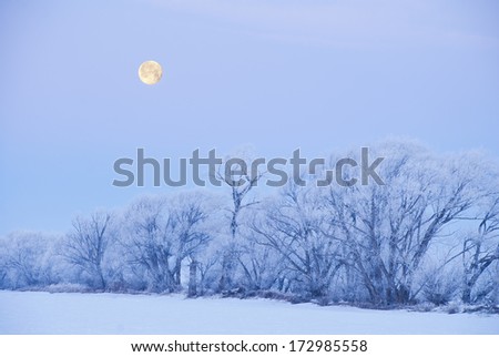The full moon sets over a purple-hued, winter landscape of snow and frosted willow trees.