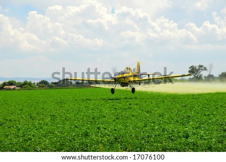 A spray plane applies a zinc compound to a potato field to guard against Late Blight