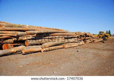 A pile of logs sits in the yard of a lumber mill.