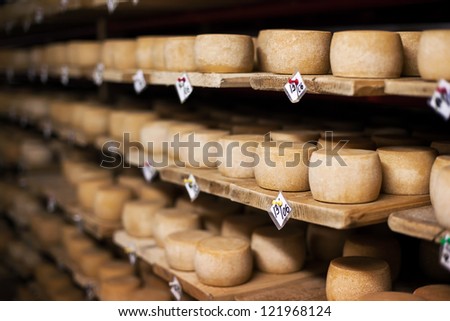Cow milk cheese, stored in a wooden shelves and left to mature