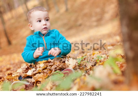 Happy baby sitting in fallen leaves