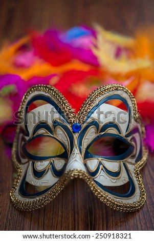 Carnival mask on color feathers