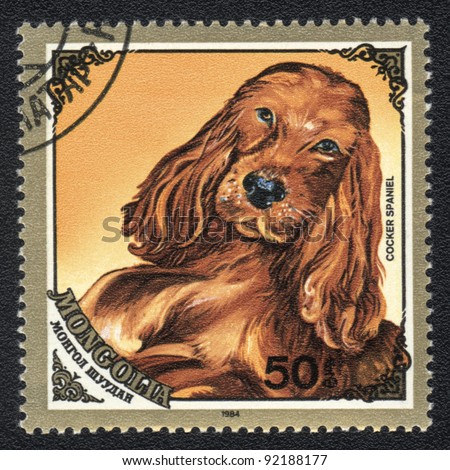 MONGOLIA - CIRCA 1984: A stamp printed in MONGOLIA shows  a Cocker Spaniel , series Breed of dogs, circa 1984