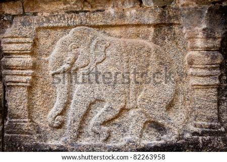 ancient carvings of elephant, polonnaruwa, sri lanka