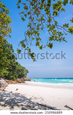 Beautiful lagoon beach on the tropical island paradise of Koh Tachai, Similan National Park, Thailand