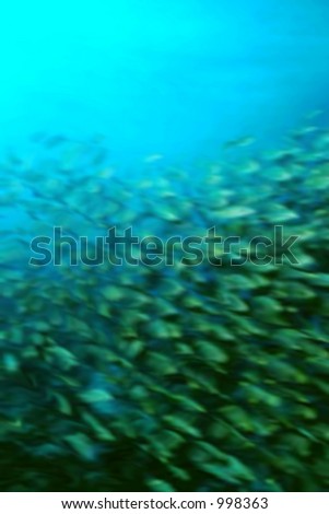 abstract background based on, blue cool, coral dive water