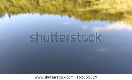 nature mirroring in tranquil water