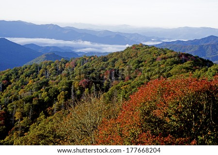Early morning fall vista in the Great Smoky Mountains