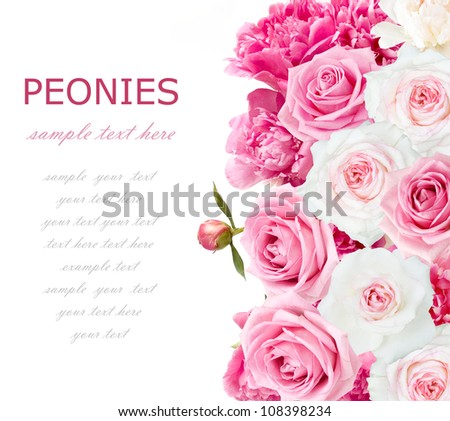 Pink and white roses and peonies wedding background isolated on white with sample text