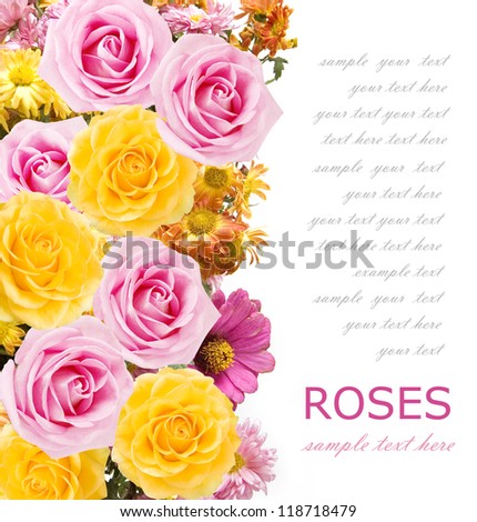 Asters and roses bunch isolated on white background with sample text