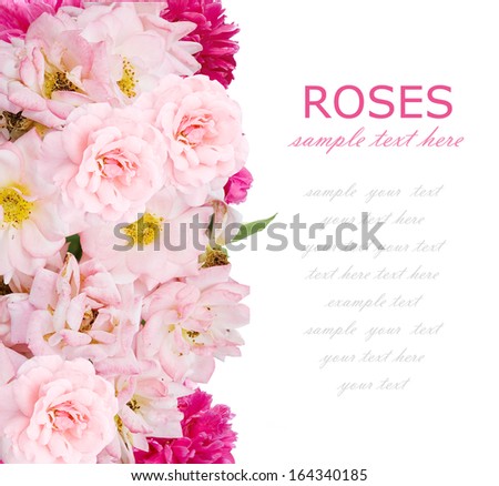 Roses and peony flowers background isolated on white with sample text