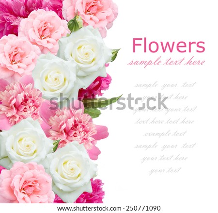 Peony and roses background isolated on white with sample text