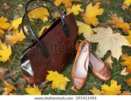 Leather shoes and bag with autumn leaves. Winter boots and bags collection sales
