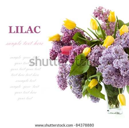 Rich bouquet with lilac and tulips isolated on white with sample text