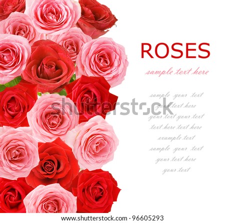 Red and pink roses bouquet background with sample text