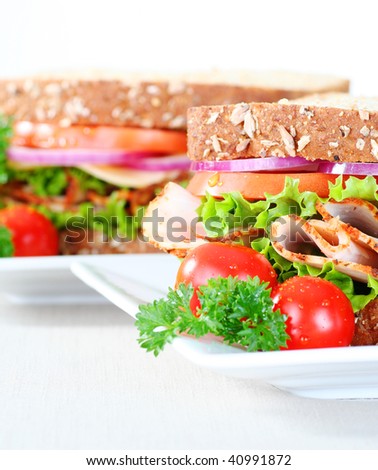 two healthy sandwiches on the table, narrow focus