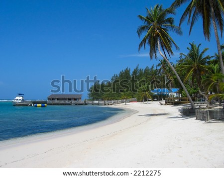 Tropical beach scene, including palm trees and dive boat at dock.