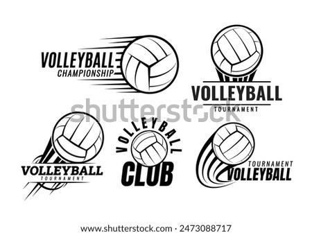 Volleyball ball icons. Symbol or emblem. Vector illustration.