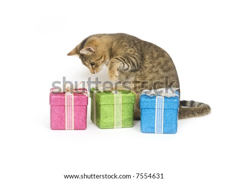 A kitten looks over three presents on a white background