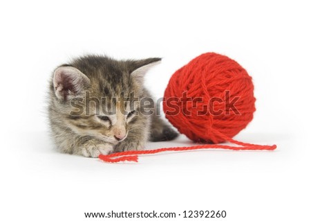 A kitten takes a nap while holding onto a red ball of yarn on a white background. One in a series