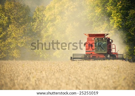 A farmer combines a field of soybeans during the harvest