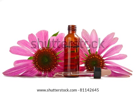Alternative health whit echinacea flower