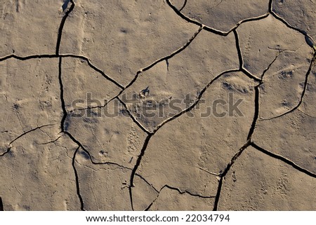 Dried and Cracking Mud flats along a river