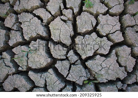 cracked earth by drought