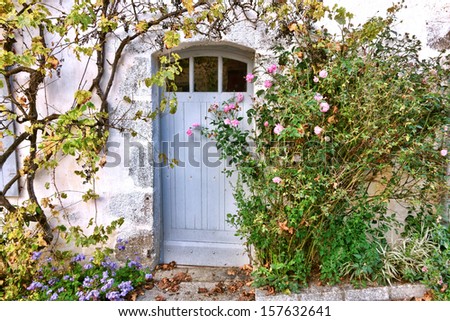 Old white wood door on a quaint little French house with rose bush and shrub growing wild around doorway in a small village in France