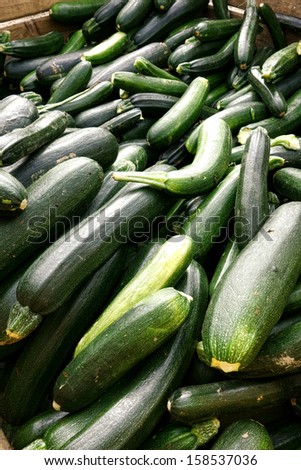 Fresh and natural organic farm grown zucchinis vegetables piled in bulk container in wood crate after harvest at a produce and fruit coop agricultural
