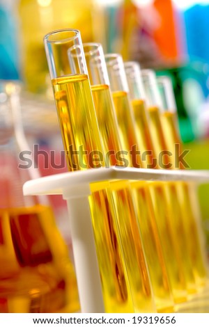 Laboratory glass test tubes filled with yellow liquid on a rack for an experiment in a science research lab
