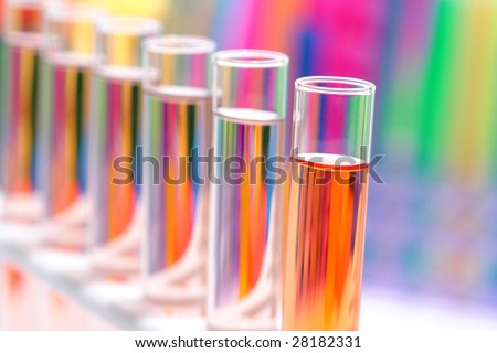 Laboratory glass test tubes filled with liquid on a rack for an experiment in a science research lab