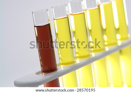 Laboratory glass test tubes filled with red and yellow liquid chemical on a rack for an experiment in a science research lab