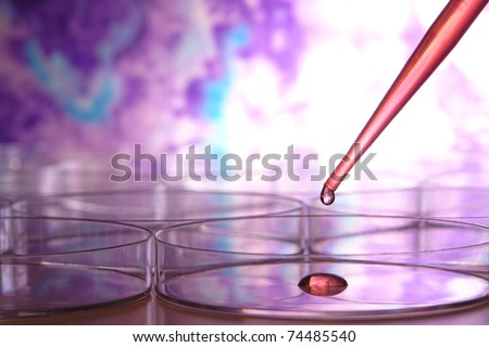 Laboratory plastic pipette filled with red liquid and emerging drop of chemical solution over Petri dishes for a biology experiment in a science research lab