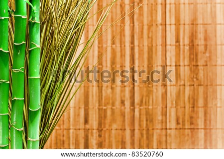 Asian inspired green bamboo plants and Eastern wild grass with a natural fiber screen background